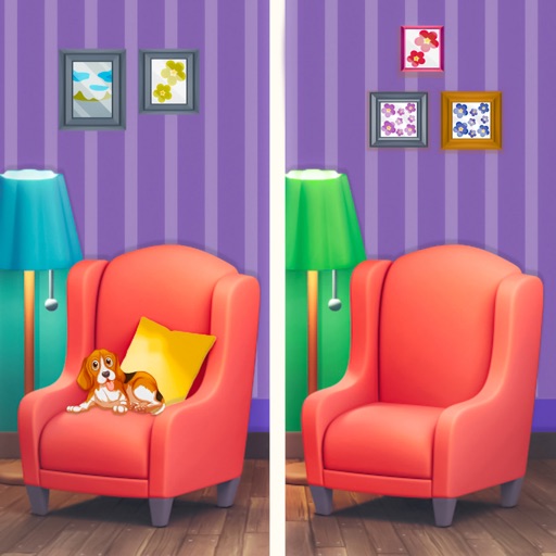 Zoek De Verschillen Puzzel !